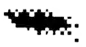 Right Eye