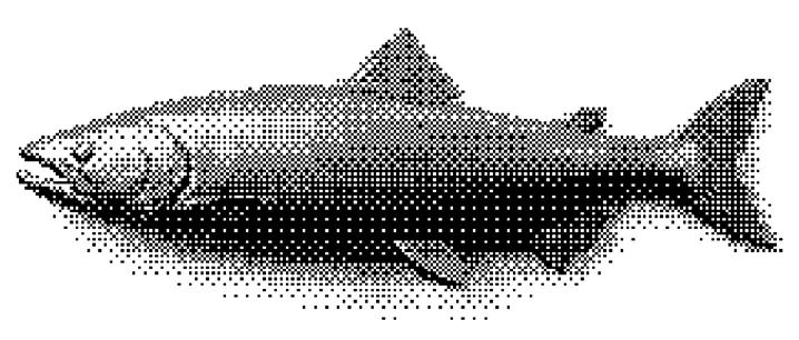 f-1