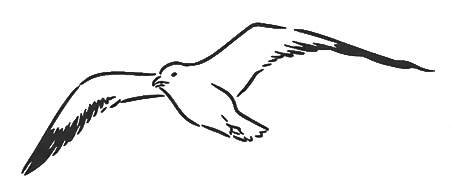 b-1