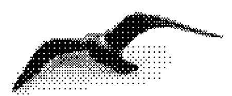 b-1